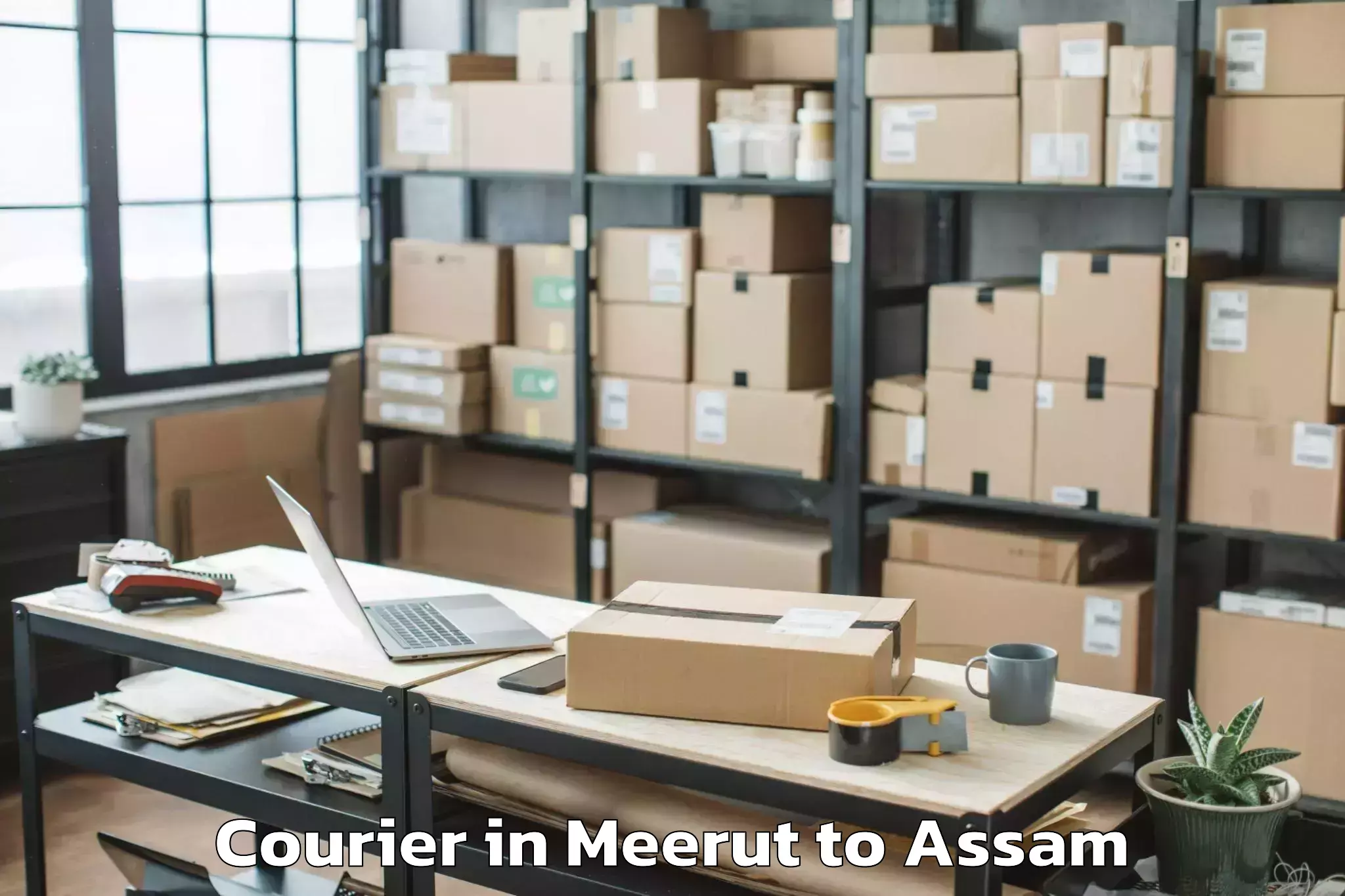 Easy Meerut to Bajali Courier Booking